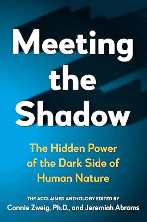 Meeting the Shadow
by Connie Zweig