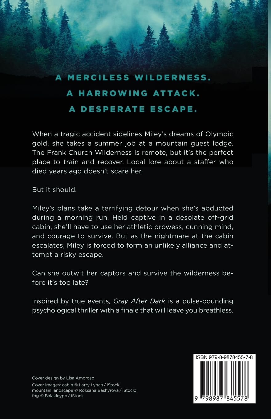 Gray After Dark by Noelle West Ihli