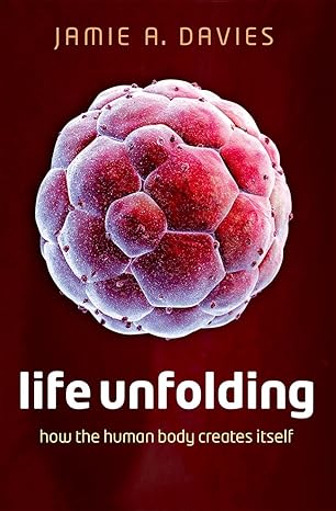 Life Unfolding
by Jamie A. Davies