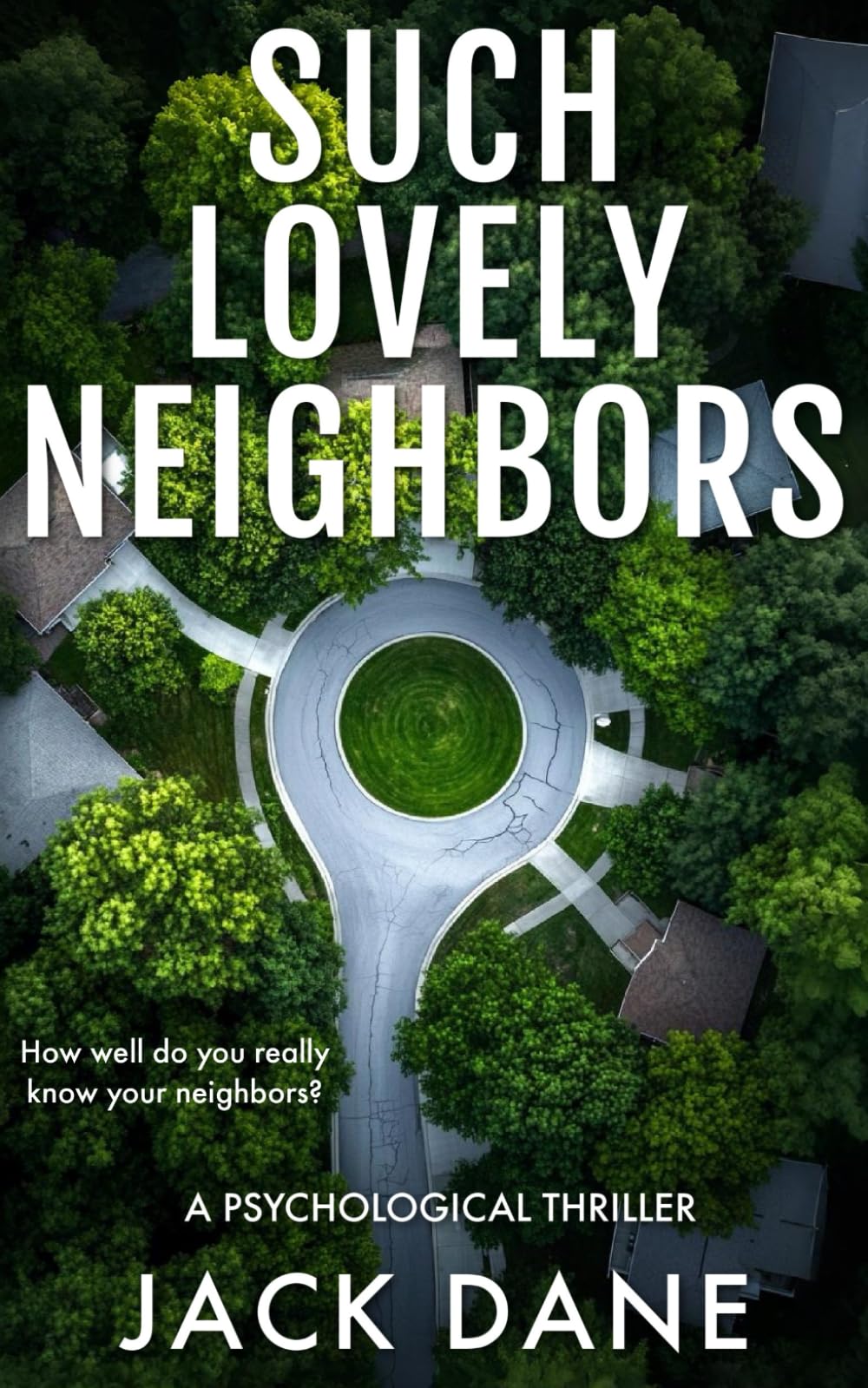 Such Lovely Neighbors: A Psychological Thriller 
by Jack Dane