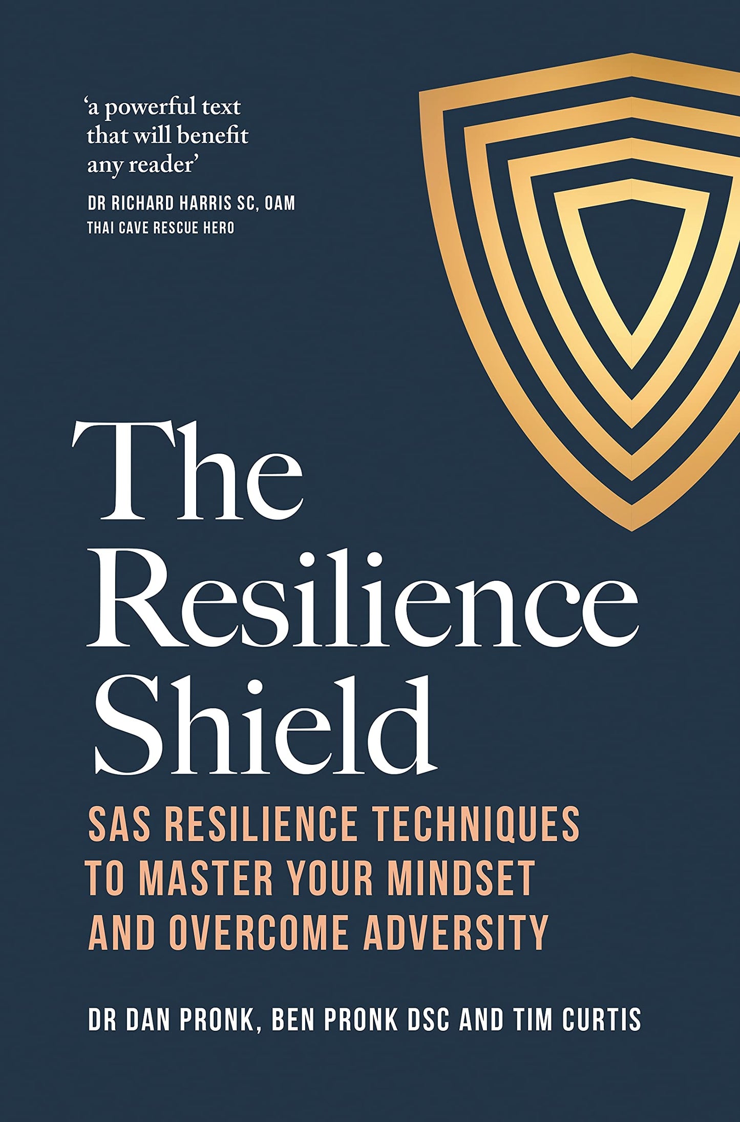The Resilience Shield
by Dan Pronk
