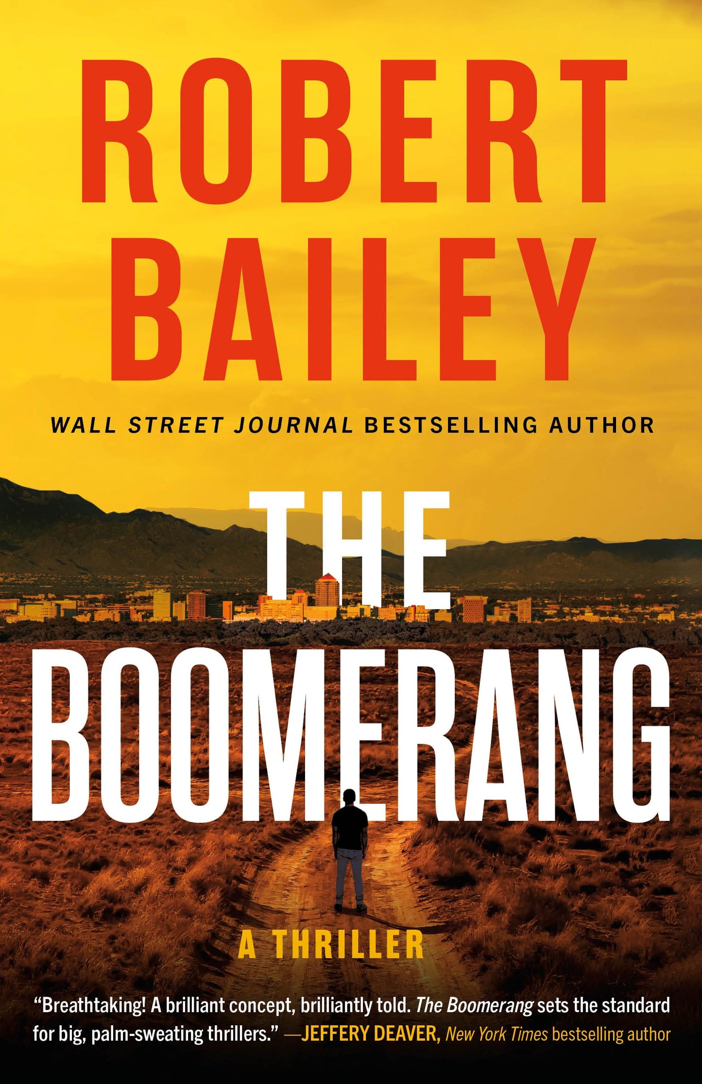 The Boomerang: A Thriller 
by Robert Bailey