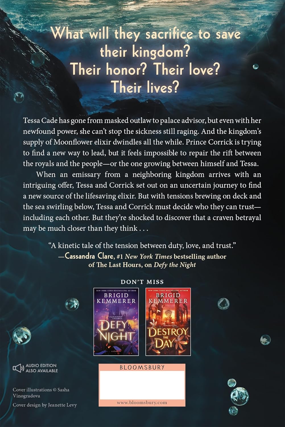 Defend the Dawn by Brigid Kemmerer