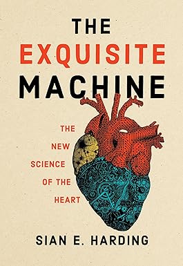 The Exquisite Machine
by Sian E. Harding