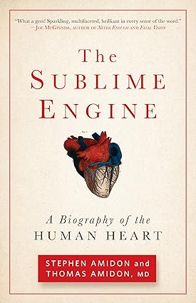 The Sublime Engine
by Stephen Amidon