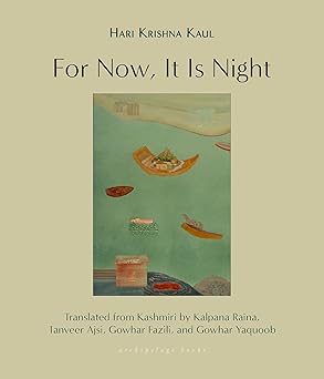 For Now, It Is Night by Hari Krishna Kaul