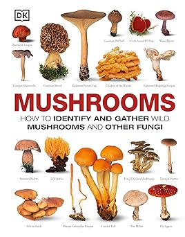Mushrooms
by DK