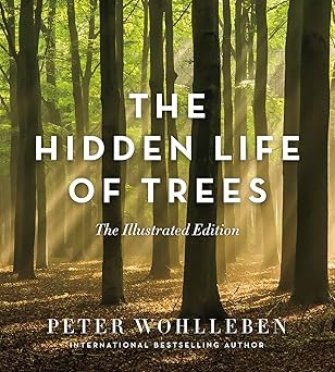 The Hidden Life of Trees
by Peter Wohlleben