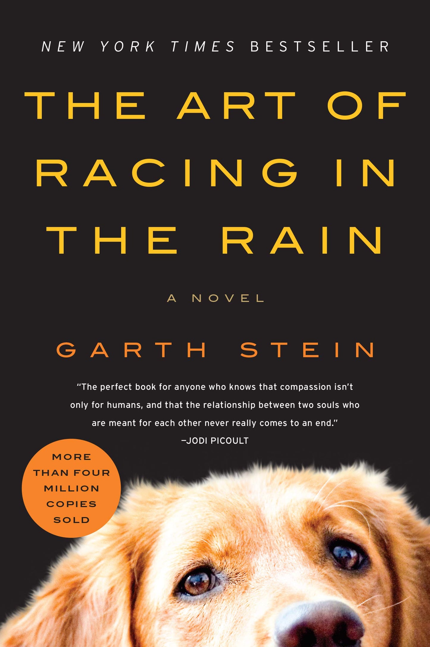 The Art of Racing in the Rain
by Garth Stein