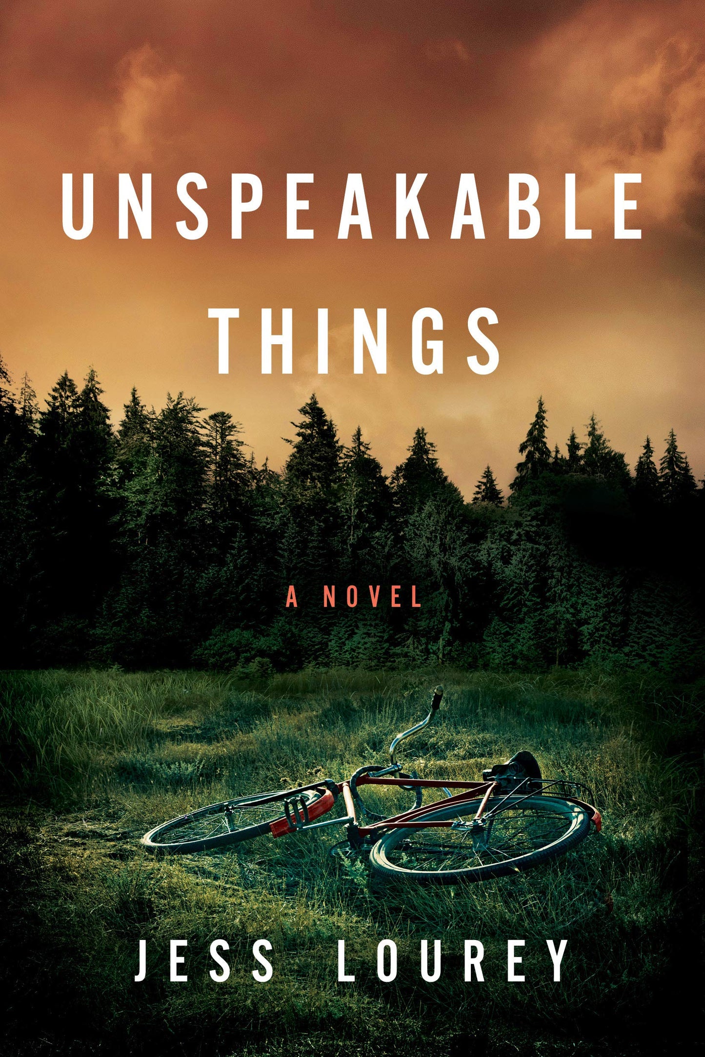 Unspeakable Things 
by Jess Lourey