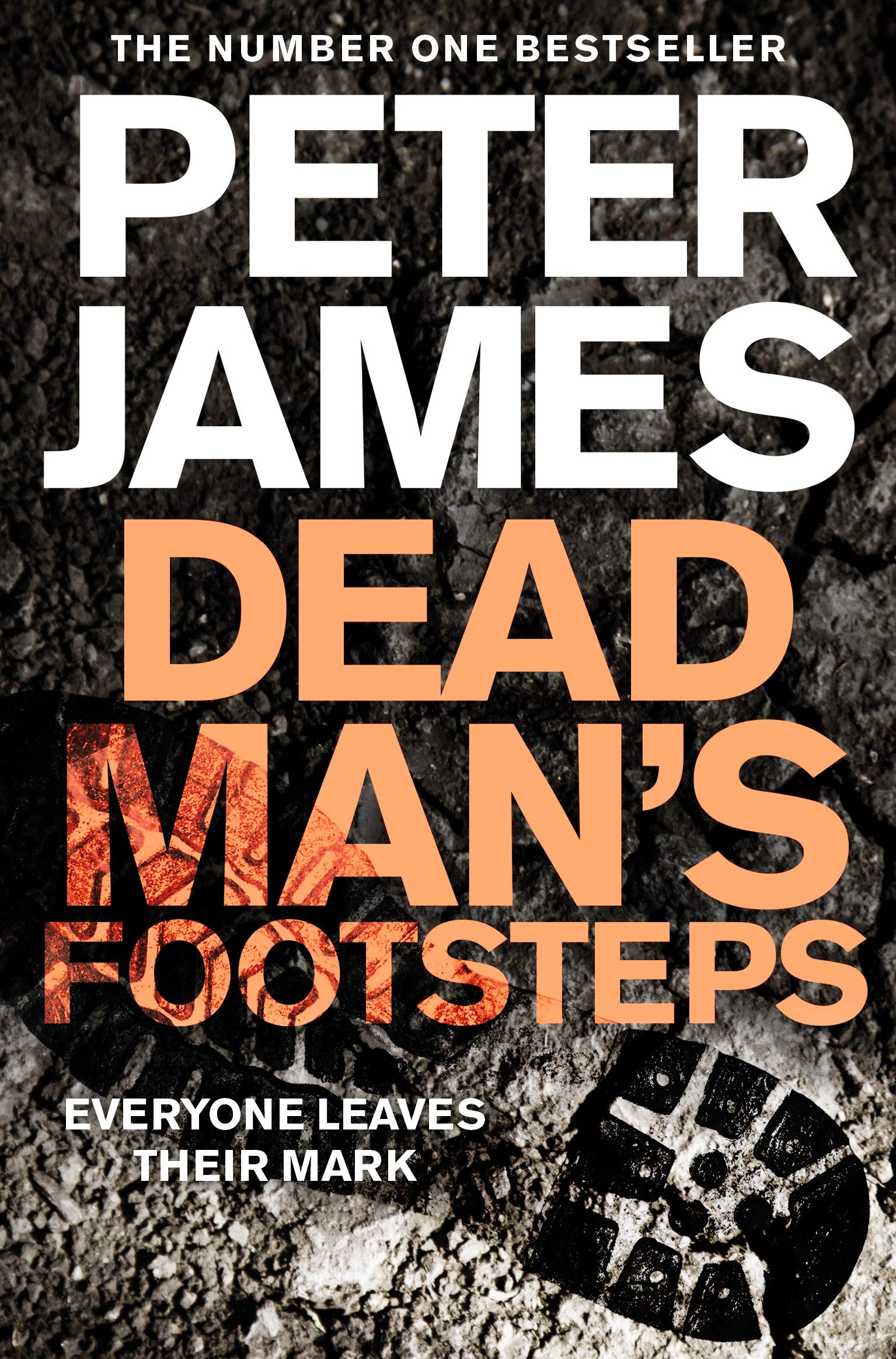 Dead Man's Footsteps 
by Peter James 