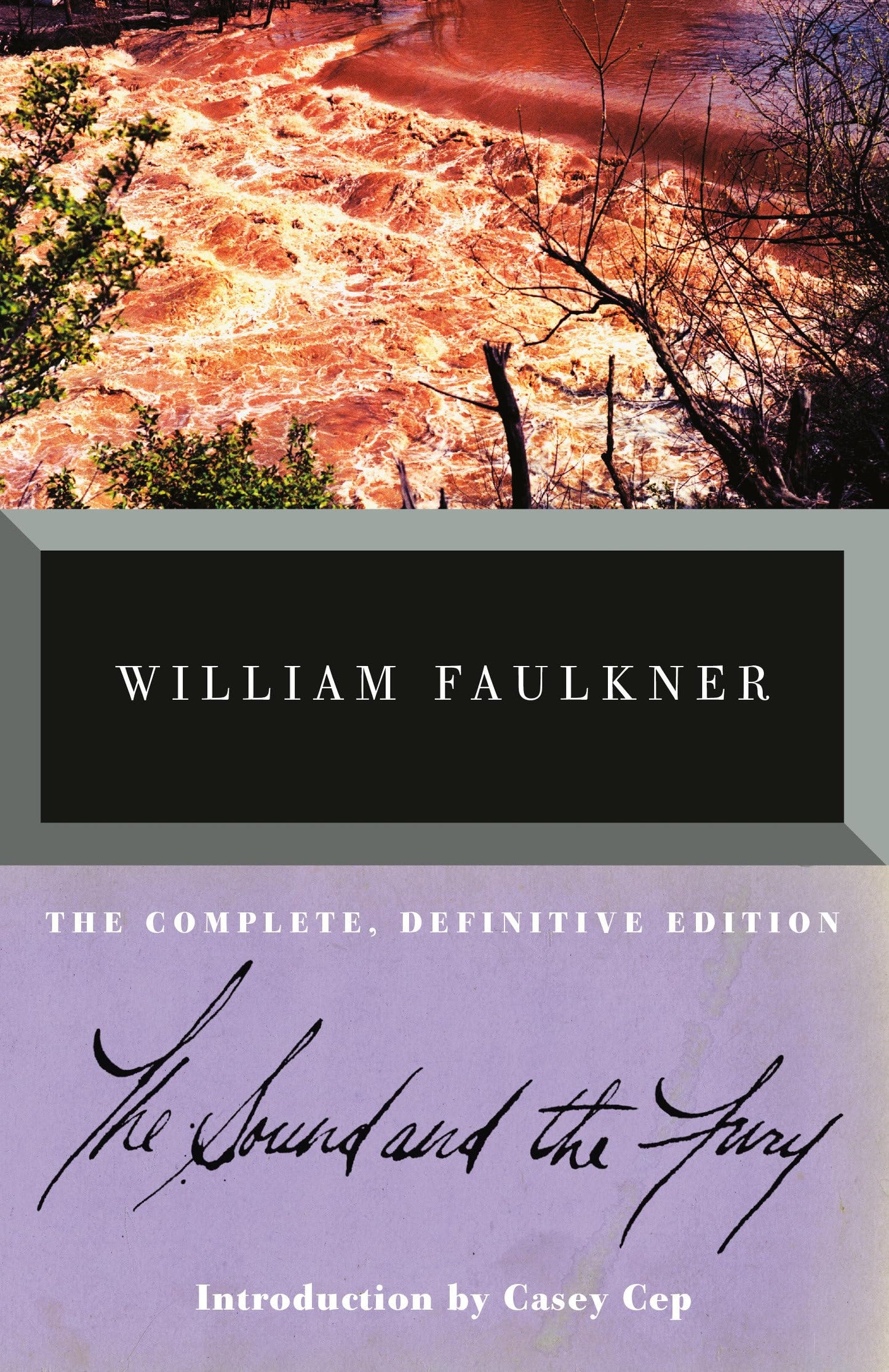 The Sound and the Fury
by William Faulkner 