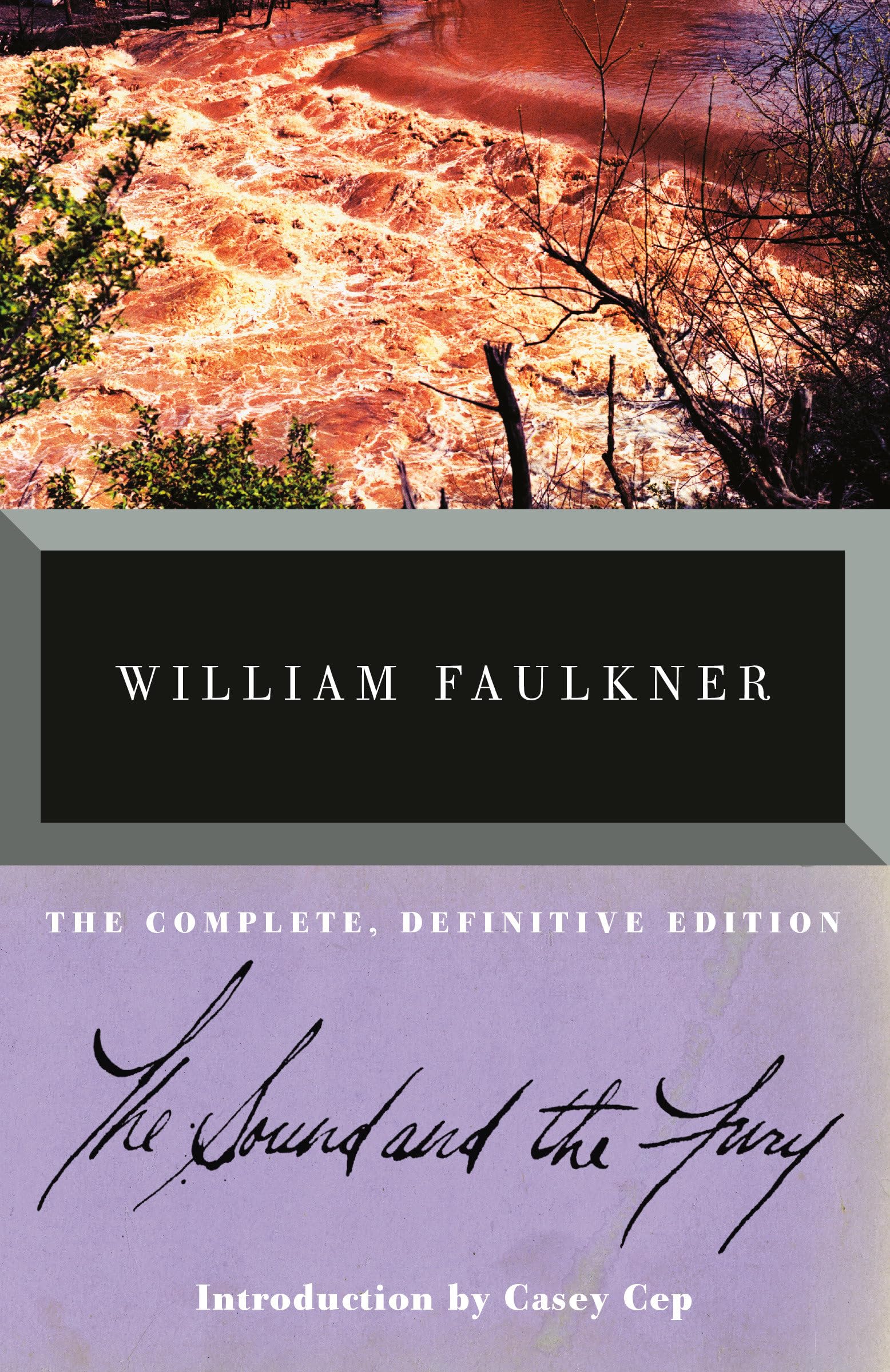 The Sound and the Fury
by William Faulkner 