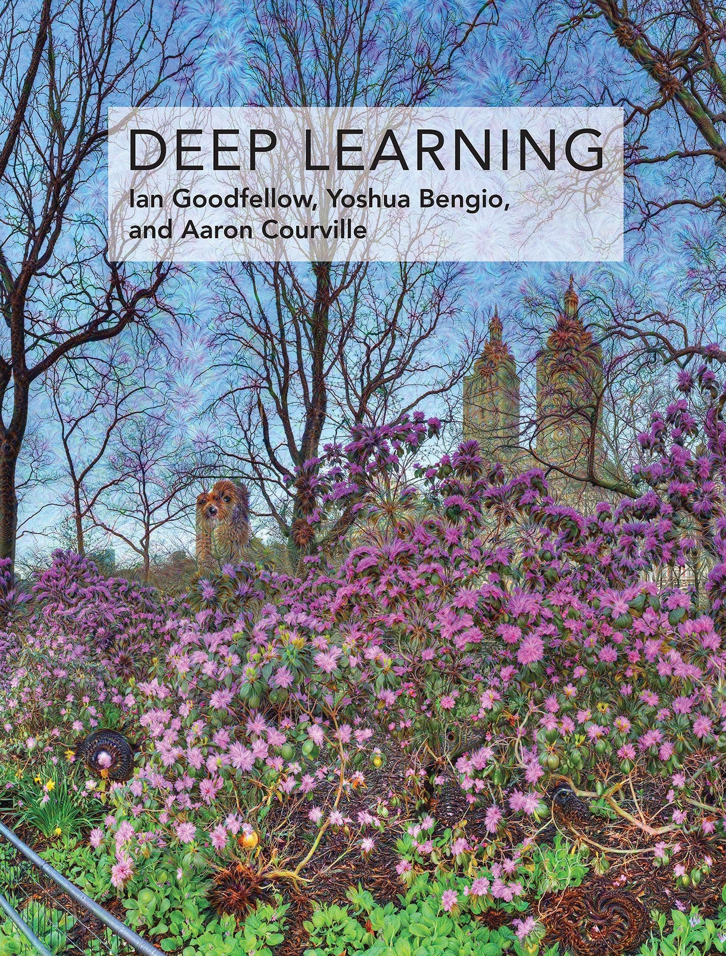 Deep Learning 
by Ian Goodfellow