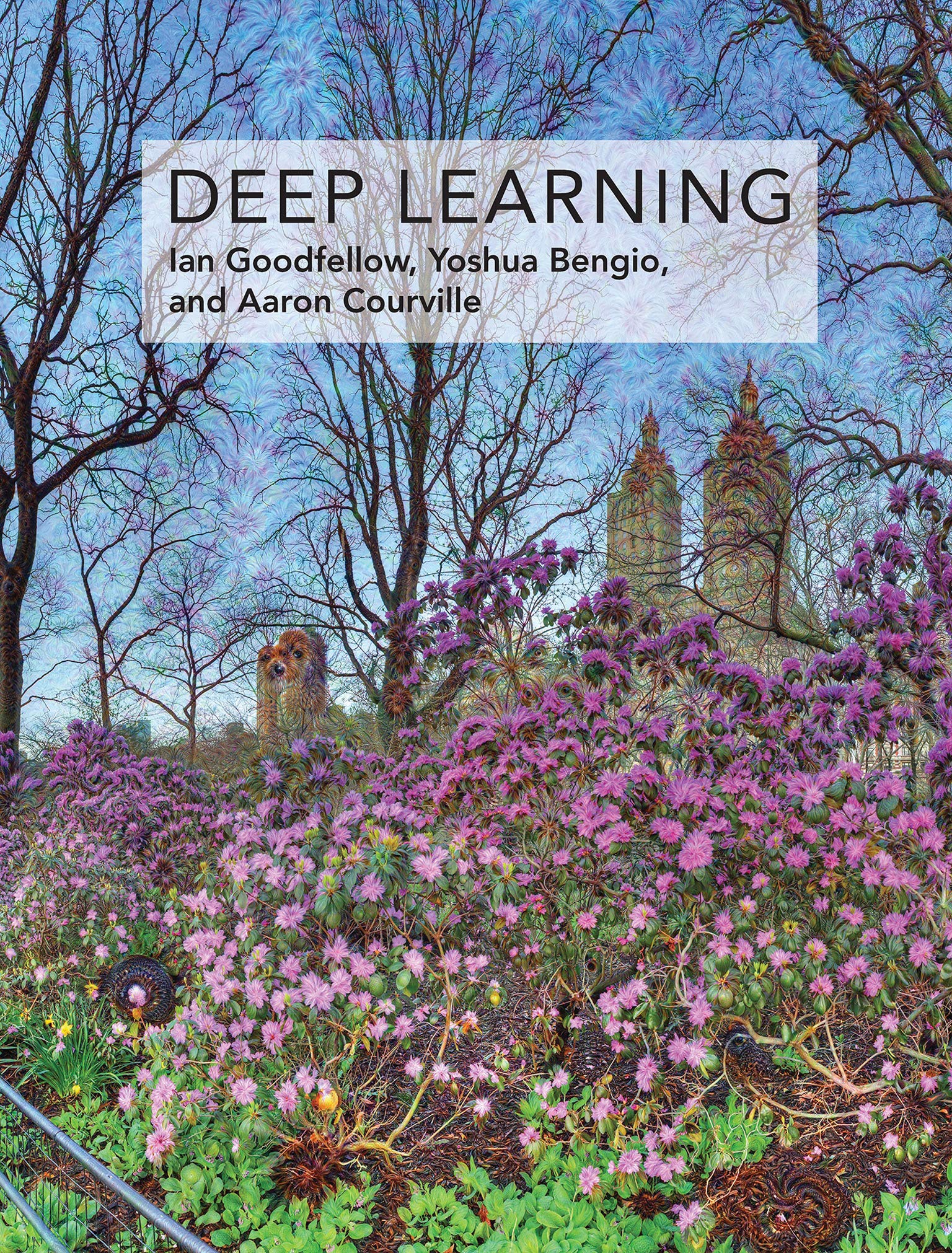 Deep Learning 
by Ian Goodfellow