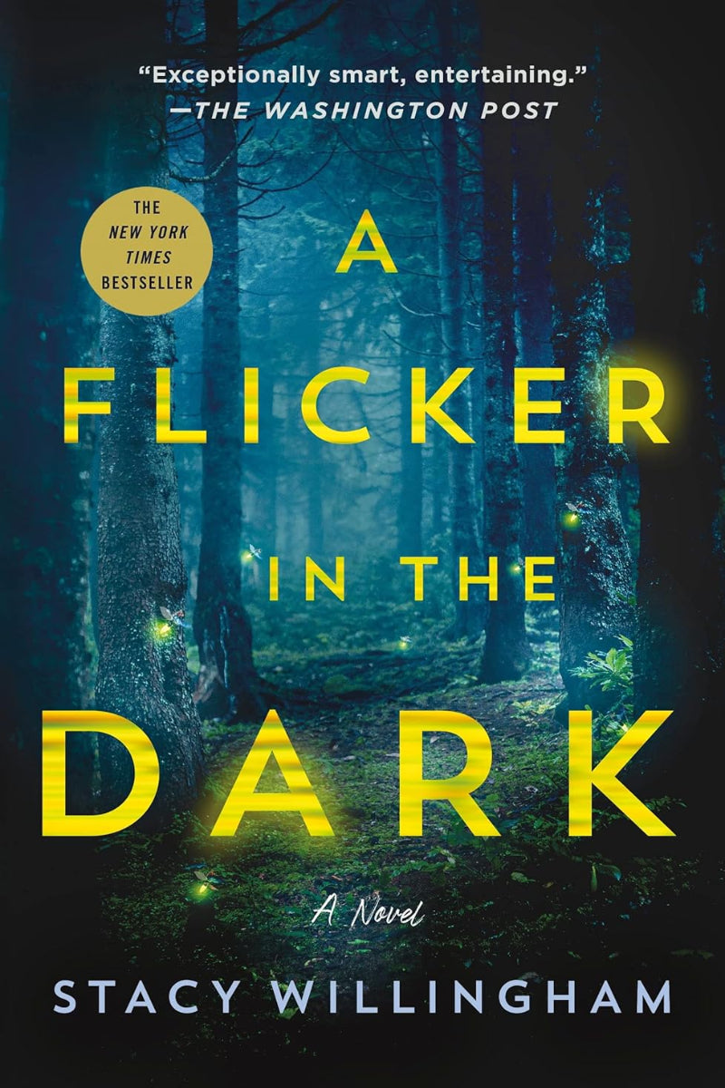 Flicker in the Dark by Stacy Willingham
