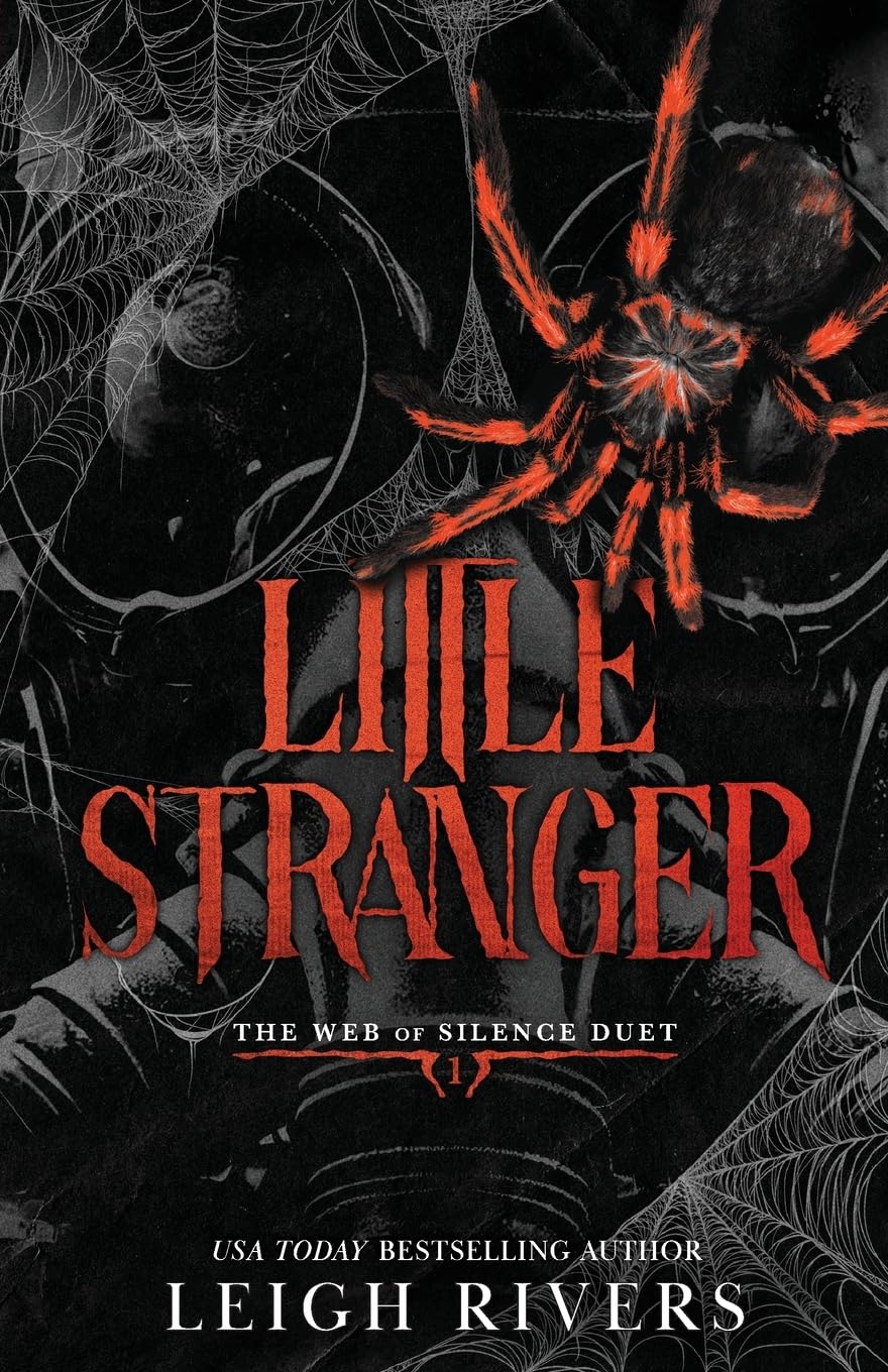 Little Stranger by Leigh Rivers